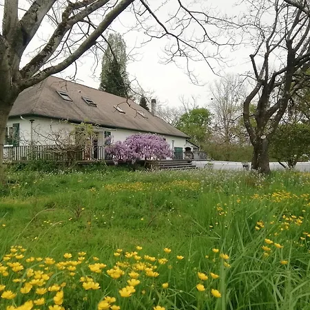 Maison Sowilo Prechacq-Josbaig